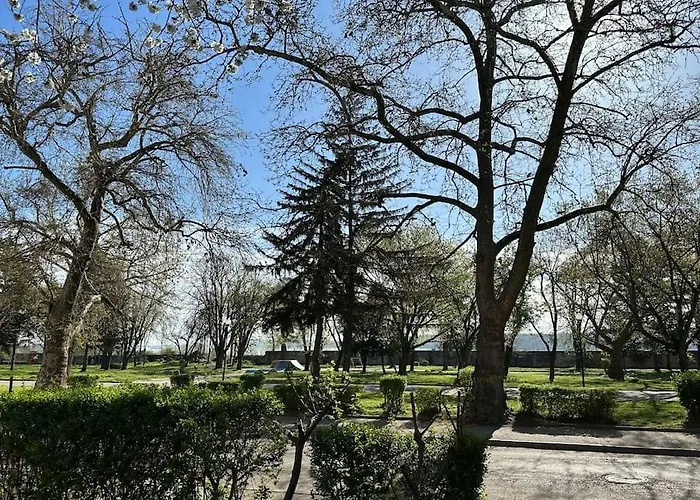 Jules River Garden Daire Vidin